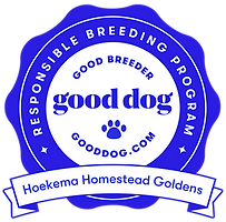 fe0545_98b98f2d3270418ab49ed90fe36d5e00_mv2