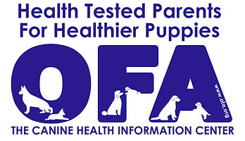 fe0545_e03da52d954e4bcd9aab8f2d975c2b7a_mv2